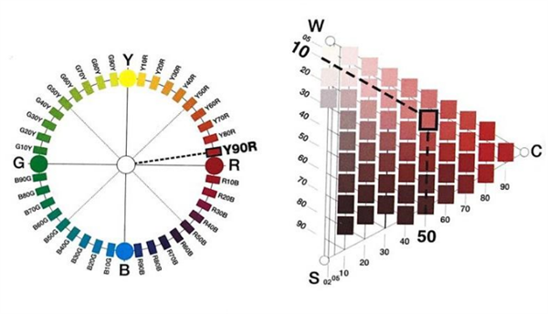 什么是自然色？NCS自然色系统0