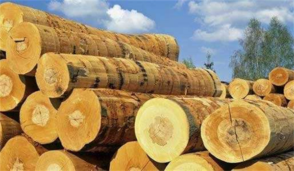 天然板材的颜色测量，选用NR20XE电脑色差仪！