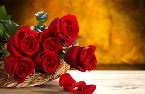 如何使用光泽度仪测量玫瑰花的光泽度？