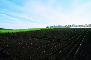 可以使用分光测色仪测量黑土地的颜色吗？