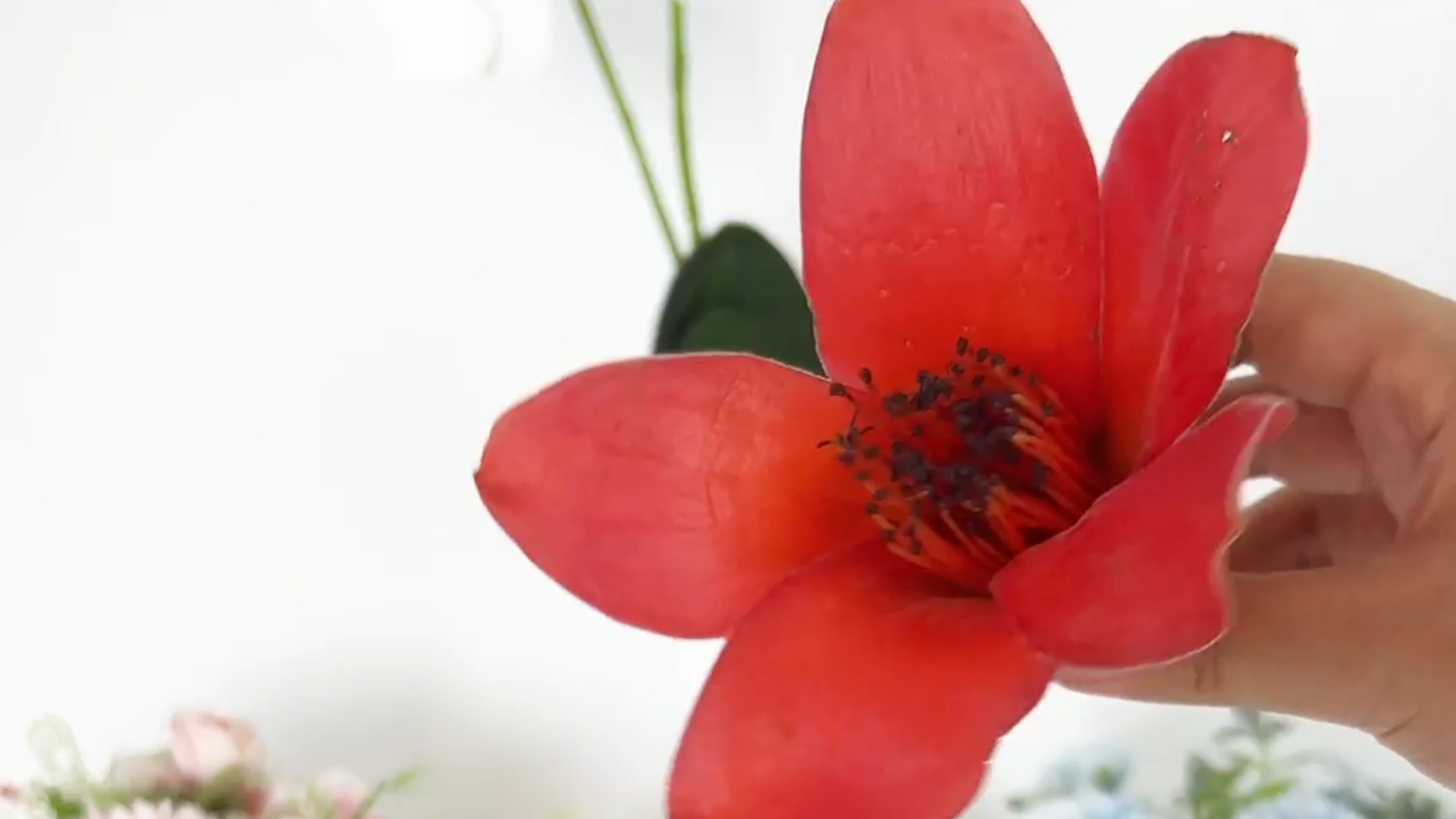 TS7700分光测色仪测量鲜花的LAB值